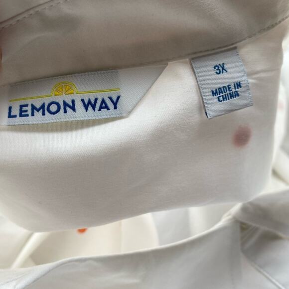 Lemon Way NWOT Retro Versatile Artsy Embroidered Dot Poplin Button Down Shirt 3X - Picture 7 of 8